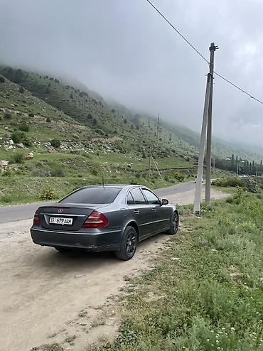 команд w220: Mercedes-Benz E-Class: 2008 г., 3 л, Автомат, Дизель, Седан — 3