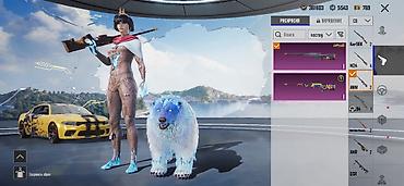 Другие видеоигры: Игровой аккаунт PUBG Mobile Донатный аккаунт Серьезному покупателю — 11
