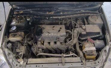 Автомойки: Автомойка | Полировка, Оклейка защитной пленкой, Тонировка — 11