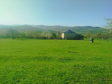 samaxida is elanlari tap az: 14 sot, Tikinti, Mülkiyyətçi, Kupça (Çıxarış) — 5