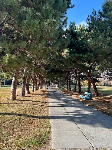 Иссык-Куль 2026: Квартира, Уютная квартира для семейного отдыха ЦО Кыргызское взморье, Бостери, Детская площадка, Парковка, стоянка, Охраняемая территория — 16