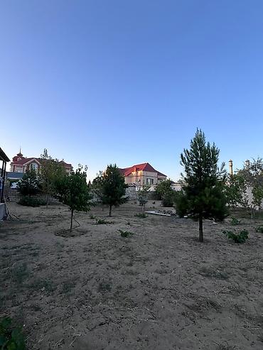Torpaq sahələrinin satışı: 12 sot, Tikinti, Mülkiyyətçi, Kupça (Çıxarış) — 10