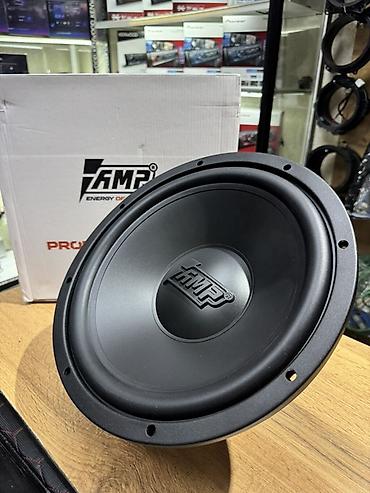 trex 2: Сабвуфер AMP PROMO 150 12A V2 (Energy of Sound) - Тип: сабвуферный — 3