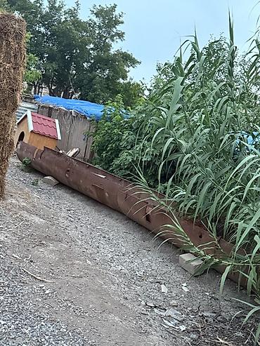 Ремонт и строительство: Qalın qara durbadan 20 metr mal oxuru satılır metri 150m Ağcabıdinin — 1