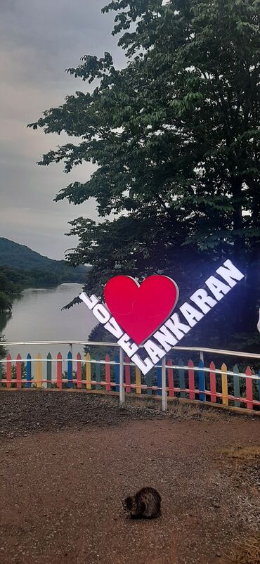 Sərnişin daşımaları: Minivan, 8 Oturacaq — 10