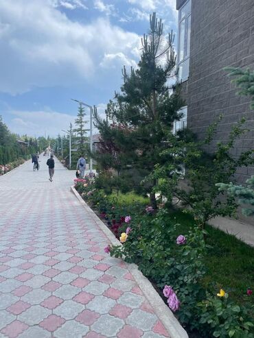 Иссык-Куль 2025: Коттедж, ЦО Париж — 10