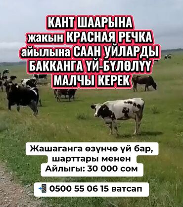 ищу работу уборщица на неполный рабочий день: Требуется Скотник, Оплата Ежемесячно