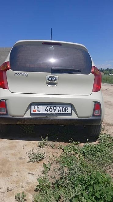 arizzo 8: Kia Morning: 2016 г., 0.1 л, Автомат, Бензин, Хэтчбэк — 2