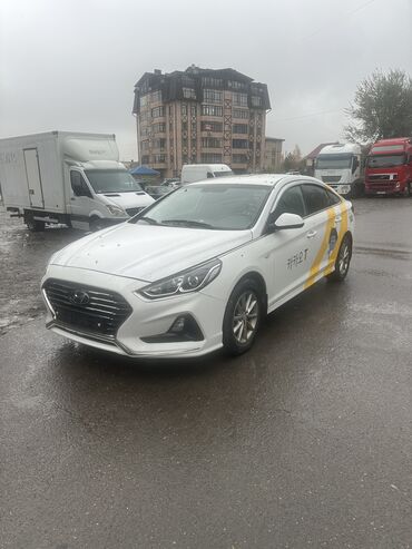 хундай соната под выкуп: Hyundai Sonata: 2018 г., 2 л, Автомат, Газ, Седан