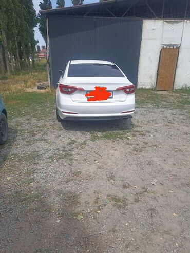 шины 14 нексия: Hyundai Sonata: 2014 г., 2 л, Автомат, Бензин, Седан