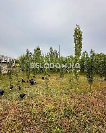 село ленинскии участок: 12 соток — 4