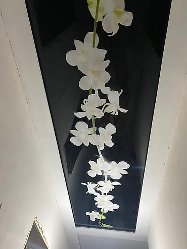 Натяжной потолок: Натяжной потолок+Нат потолок!любой сложности,120 — 26