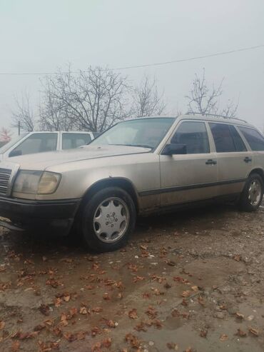 мерс вито виано: Mercedes-Benz W124: 1988 г., 2.3 л, Механика, Дизель, Универсал