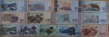 2 dollar aliram: Venesuela bolívarı banknotları – tam tematik kolleksiya - Ölkə — 2
