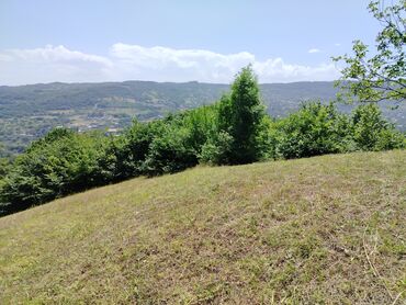 Torpaq sahələrinin satışı: Tikinti — 13