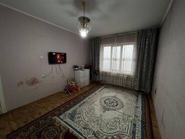 серая персидская кошка: 1 комната, 36 м², 105 серия, 8 этаж