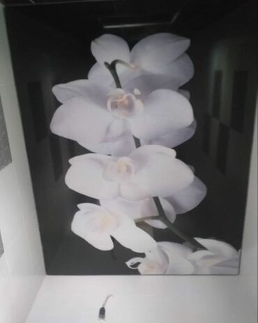 Натяжной потолок: Натяжной потолок Глянцевое, 3D потолки, Матовое — 13