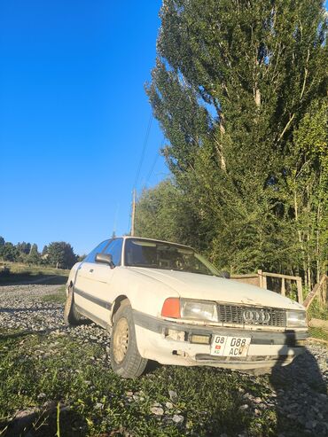 Audi: Audi 80: 1992 г., 2.3 л, Механика, Бензин, Седан