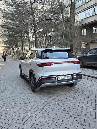 BYD: BYD Yuan Up: 2025 г., 1 л, Вариатор, Электромобиль, Универсал — 5