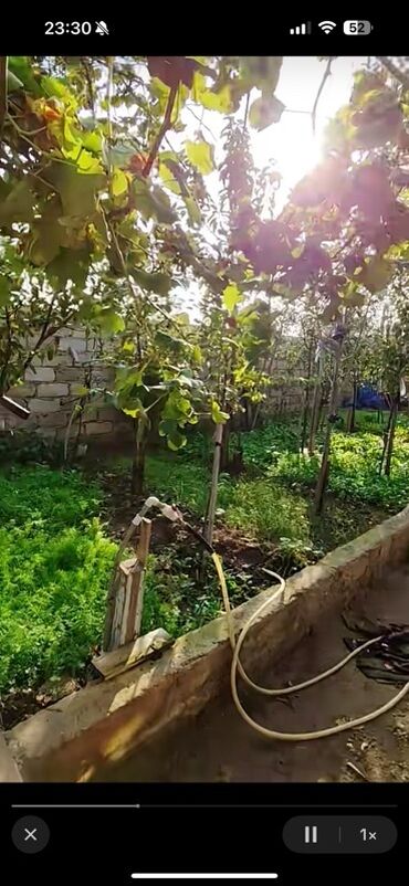 Həyət evləri və villaların satışı: Həyətyanı sahəli fərdi yaşayış evi - Aşağı kürsülü, maili dam — 3