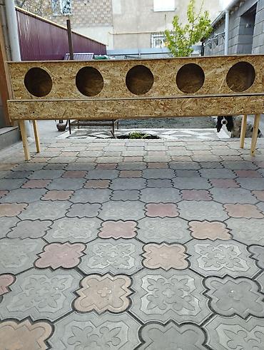 Товары и оборудование для с/х животных: Продаю гнезда для кур с яйцосборником также делаю на заказ любой — 5