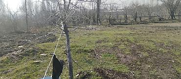 Продажа участков: 18 соток, Для строительства — 4