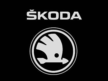 auto dm novi sad: NOVI DELOVI ZA ŠKODA RAPID, FABIA, OCTAVIA . OD 2000. DO 2024. GOD — 1