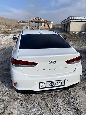 соната экран: Hyundai Sonata: 2018 г., 2 л, Автомат, Газ, Седан — 2