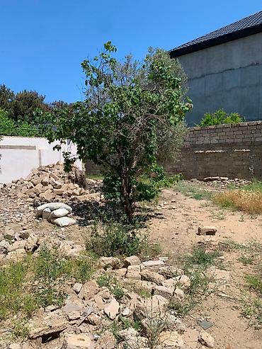 bulbule qesebesi: 5 sot, Tikinti, Makler, Kupça (Çıxarış) — 2
