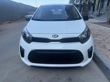 авто в рассрочку без банка без первоначального взноса в бишкеке: Kia Morning: 2019 г., 0.1 л, Автомат, Бензин, Хэтчбэк