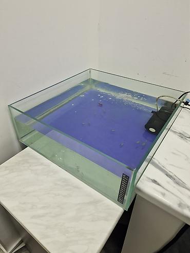 Dördbucaq akvarium, Balıqlarla birlikdə, 45 l