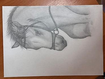 Картины: Картины маслом ручками карандашами. По 500 реальным покупателям — 6