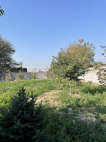 ипотечный дом: Продаётся частный дом с большим участком. - Одноэтажный дом со — 4