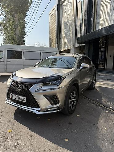 lexus nx: Lexus NX: 2019 г., 0.2 л, Автомат, Бензин, Кроссовер — 1
