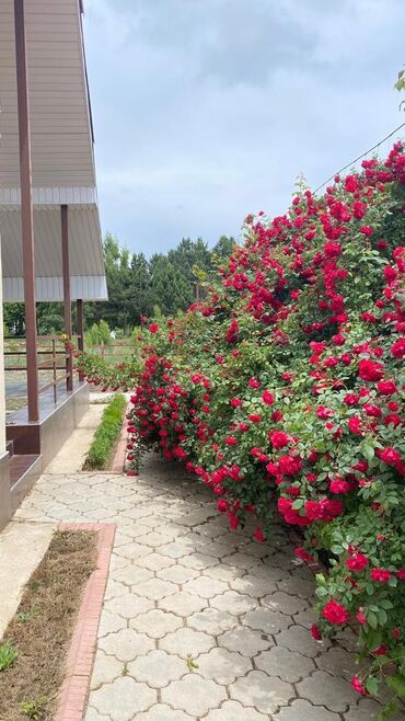 Иссык-Куль 2025: Коттедж, ЦО Евразия, Кара-Ой (Долинка), Парковка, стоянка, Бассейн, Теннисный корт at lalafo.kg — 19 Иссык-Куль 2025: Коттедж, ЦО Евразия, Кара-Ой (Долинка), Парковка, стоянка, Бассейн, Теннисный корт — 19