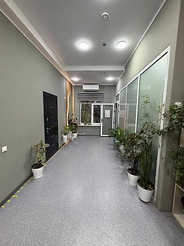 оффис: Продажа офисов 398 м², С ремонтом, Многоэтажное здание, 1 этаж — 3