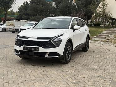 kia ceed: Kia Sportage: 2022 г., 1.6 л, Робот, Бензин, Кроссовер — 3