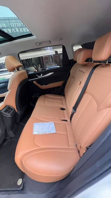 Weltmeister: Weltmeister W6, 2022 г., 40000 км, Передний, На заказ — 15