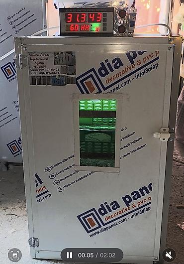 инкубаторы для яиц: Inkubator inqubator istenilen ölçüde yığıram tam avtomat qiyməti — 1