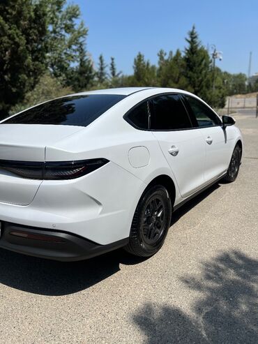 BYD: Salam, avtomobil taksi buraxilishi var icareye verilir etrafli — 6