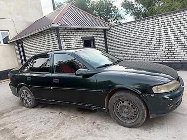 1kr fe: Опел вектра б 
2001
пробег 330
автомат 
ремонт по кузову — 5