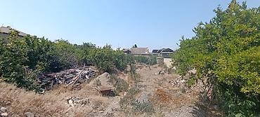sahe: 10 sot, Biznes üçün, Makler, Kupça (Çıxarış) — 6