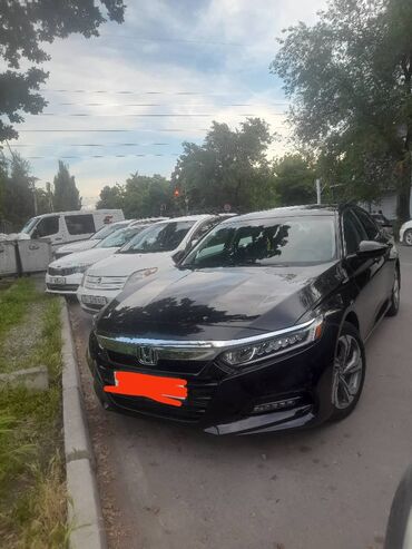 honda accord продаю: Honda Accord: 2018 г., 1.5 л, Вариатор, Бензин, Седан