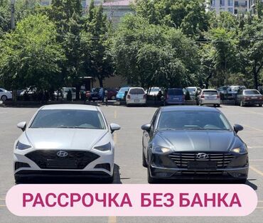 саната 2019: Hyundai Sonata: 2019 г., 2 л, Автомат, Газ, Седан