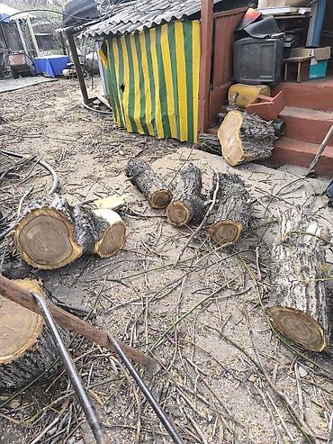 Дрова: Дрова Орех, Самовывоз — 9