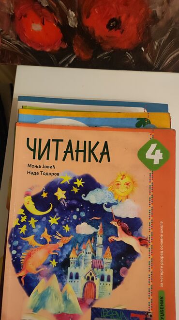Knjige i stripovi: Komplet knjiga za četvrti razred osnovne škole knjige skoro — 13