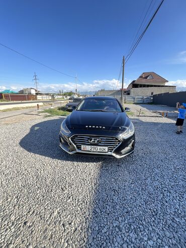 купить машину хендай солярис: Hyundai Sonata: 2017 г., 2 л, Автомат, Бензин, Седан