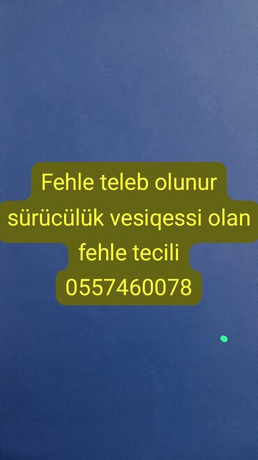 Tikinti ixtisasları: Digər ixtisaslar