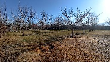 Продажа участков: 25 соток — 20