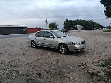 tayota karolla: Nissan Maxima: 2000 г., 3 л, Автомат, Бензин, Седан — 2